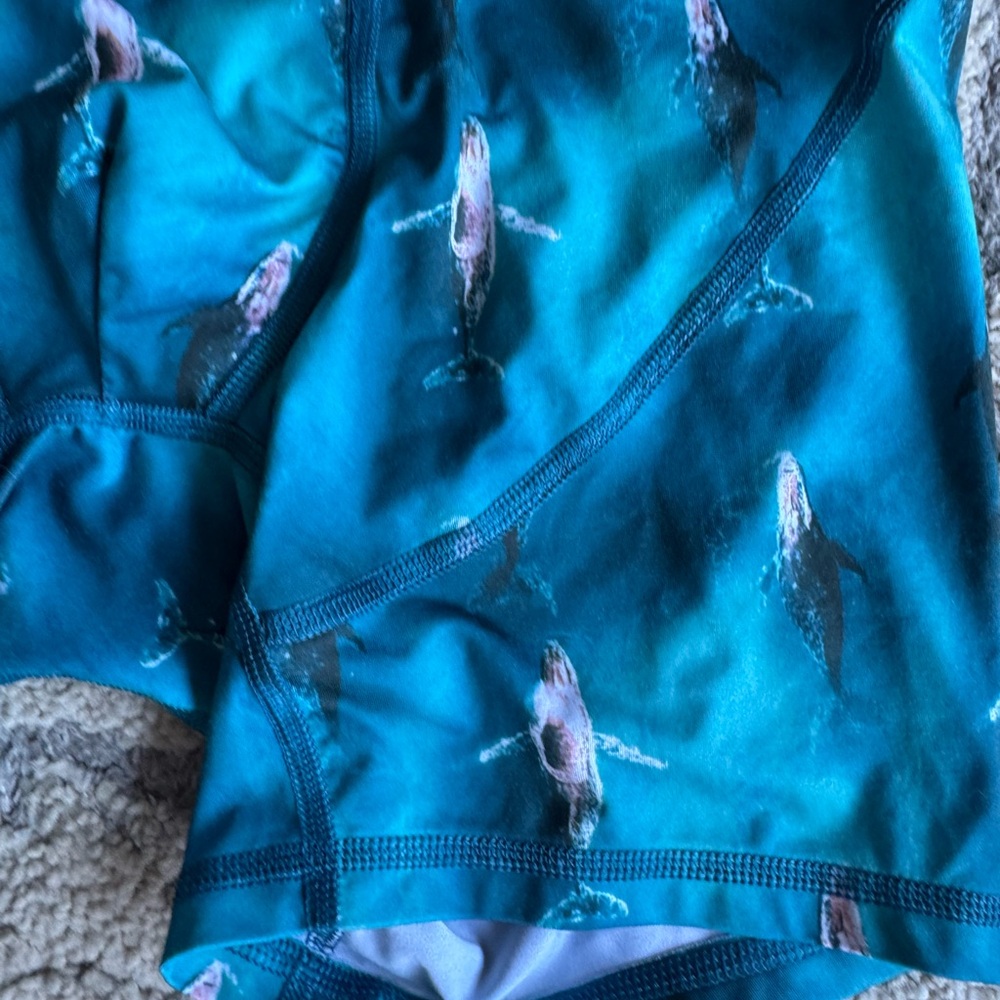NWOT American Eagle Outfitters Teal Humpback Whale -Print Boxer Briefs - Picture 3 of 6